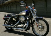 Harley-Davidson XL1200 C Sportster